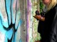 malujemy-mural-12-14-08-21