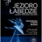 JEZIORO LABEDZIE plakat